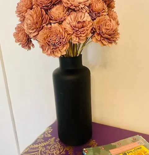 Les Fleurs Astoria * 芒通